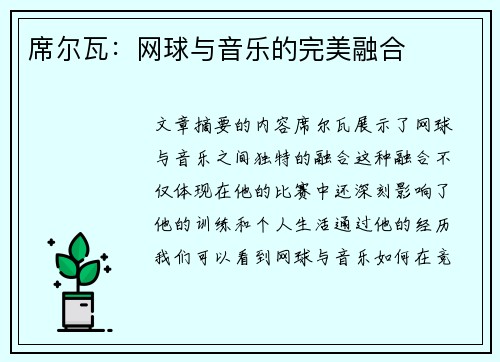 席尔瓦：网球与音乐的完美融合