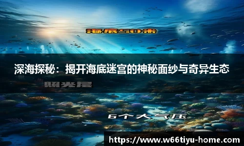 深海探秘：揭开海底迷宫的神秘面纱与奇异生态